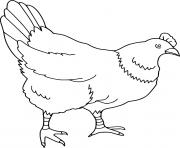 Printable Chicken Finding Food coloring pages