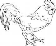 Printable Realistic Rooster coloring pages