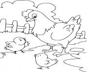 Printable Hen and Two Chicks coloring pages