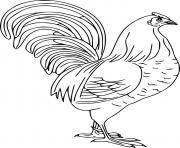 Printable Gorgeous Realistic Rooster coloring pages