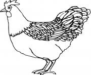 Printable Realistic Chicken coloring pages