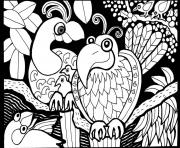 Printable adult africa parrots coloring pages