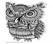 Printable adult owl big eyes coloring pages