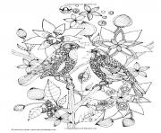 Printable adult two birds coloring pages
