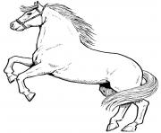 Printable awesome horse sb2a4 coloring pages