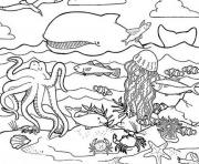 Printable habitat s of sea animalsfca7 coloring pages
