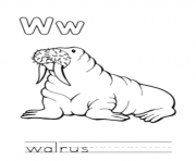 Printable walrus animal free alphabet s6d06 coloring pages