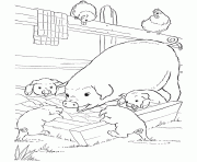 Printable farm pig and piglet sd339 coloring pages