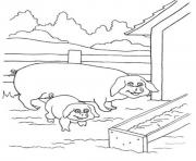 Printable pig and piglet seb90 coloring pages