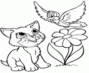 Printable kitten and bird free kids s for girlsfd60 coloring pages