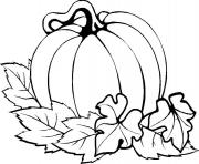 Printable pumpkin easy thanksgiving s printables7e6b coloring pages