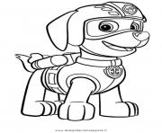 Printable paw patrol zuma ready to fly coloring pages