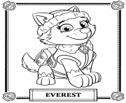 Printable paw patrol everest coloring pages