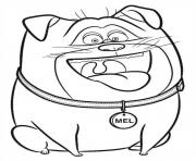 Printable mel is happy secret life of pets coloring pages