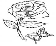 Printable rose bug and butterfly a4 coloring pages