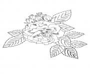 Printable big flower a4 coloring pages