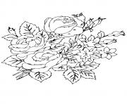 Printable group of rosas a4 coloring pages