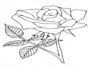 Printable nature flower a4 coloring pages