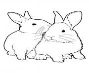 Printable easter bunnys loves real coloring pages