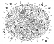 Printable peacock adult antistress black and white coloring pages