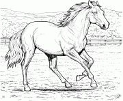 Printable Galloping Horse coloring pages