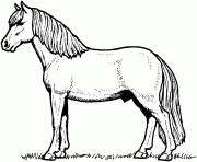 Printable Silhouetted Horse coloring pages