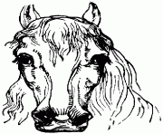 Printable Horse Face coloring pages