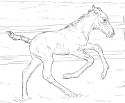 Printable horse bucking foal coloring pages