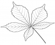 Printable horse chestnut leaf coloring pages