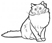 Printable birman cat coloring pages