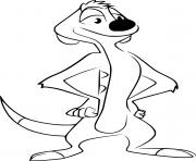 Printable Timon from Lion Guard coloring pages