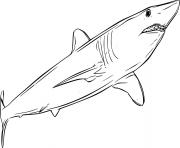 Printable Swimming Shortfin Mako Shark coloring pages