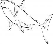 Printable Easy White Shark coloring pages