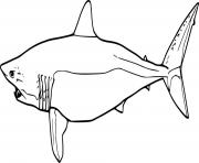 Printable Shortfin Mako Shark coloring pages