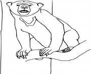 Printable Sun Bear on the Tree coloring pages