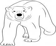 Printable Polar Bear Walking Forward coloring pages