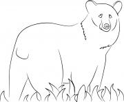 Printable Simple Black Bear on the Grass coloring pages
