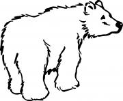 Printable Furry Brown Bear coloring pages