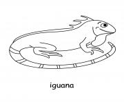 Printable iguana coloring pages