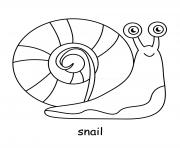 Printable snail cute animal coloring pages
