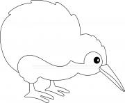Printable Kiwi coloring pages