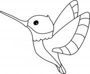 Printable hummingbird coloring pages