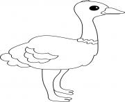 Printable Ostrich coloring pages